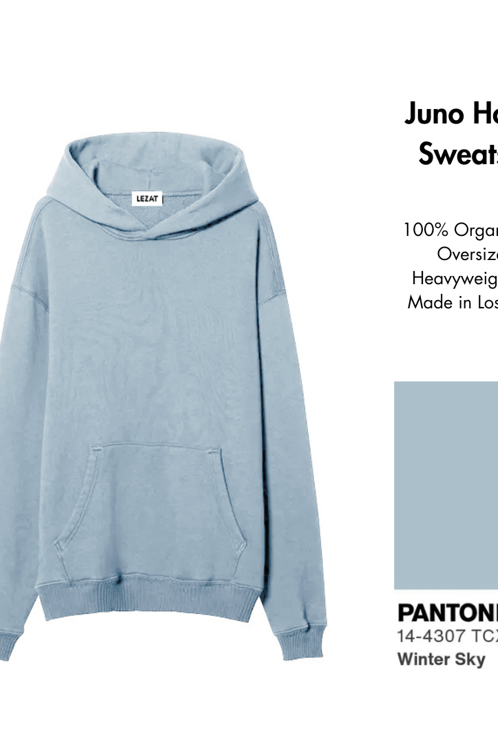 Lezat Pullover Juno Organic Cotton Oversized Heavyweight Hoodie Sweatshirt