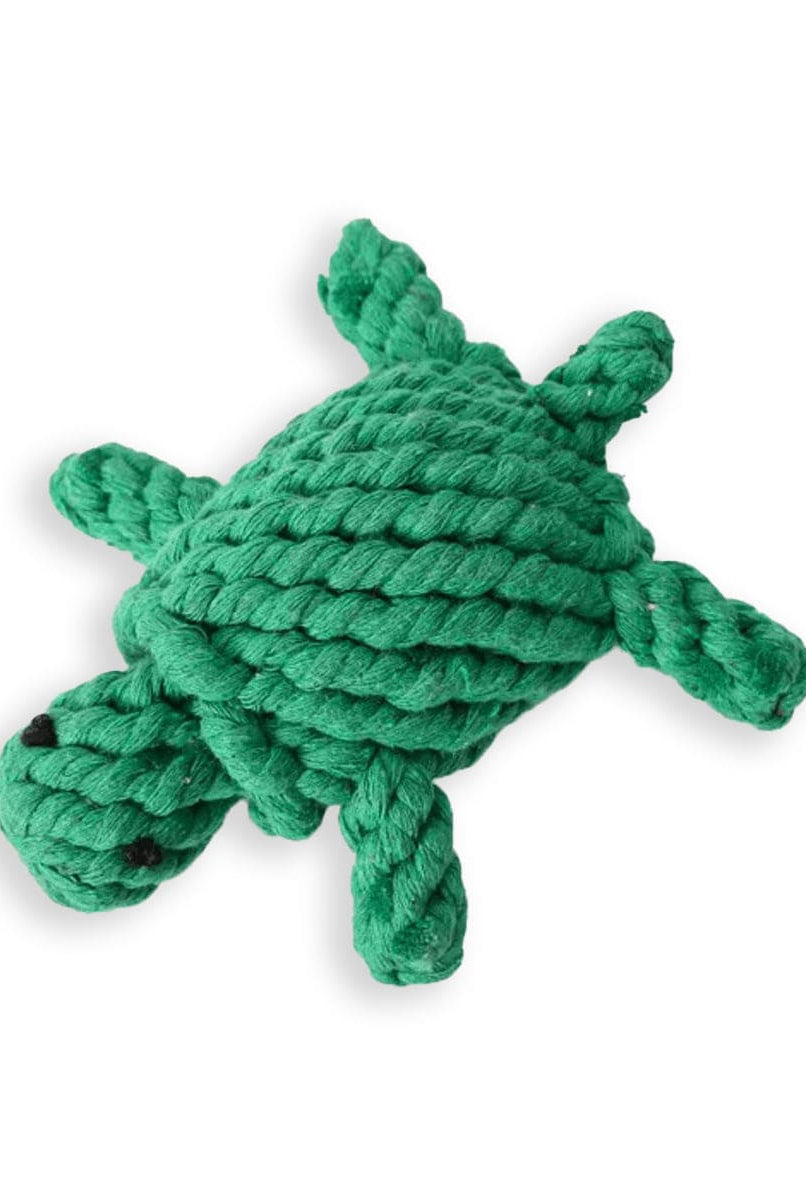 Lezat Turtle