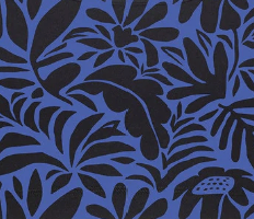 Lezat Bike Short Amparo Curio / XS Lyla Organic Cotton 4" Bike Short