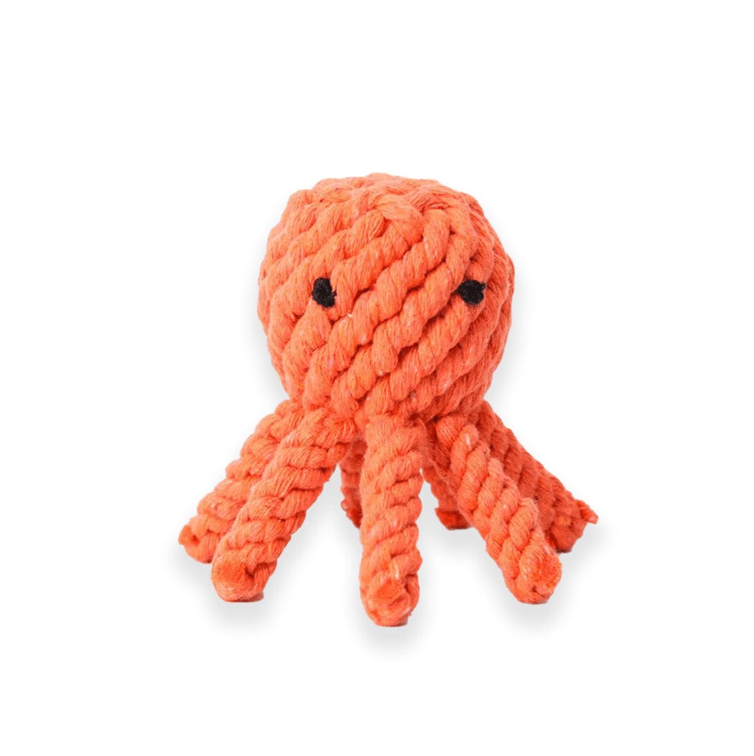 Lezat Octopus