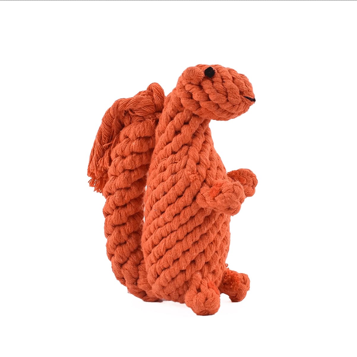 Lezat Squirrel