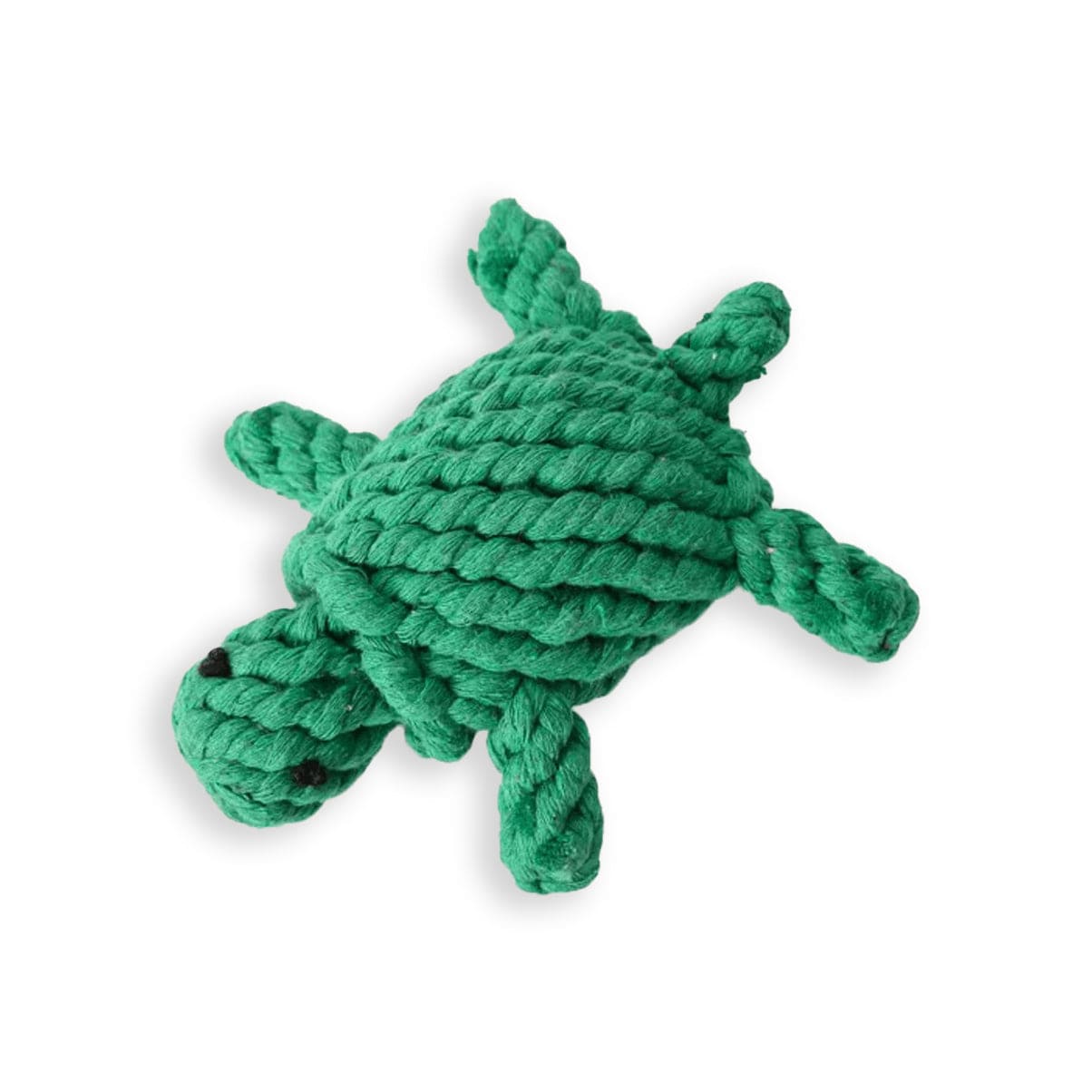 Lezat Turtle